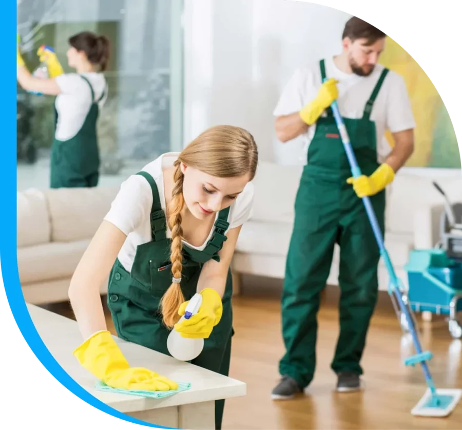 Professional cleaning and property services